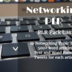 networking-PLR-300x150 (1)