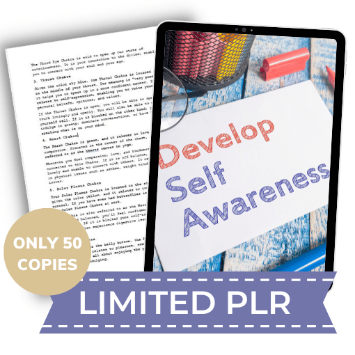 SelfAwarenessJournaling-LIMITEDPLR